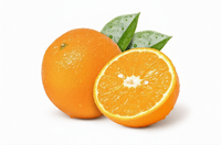 Oranges, Tangerines et Mandarines Fraîches à Prix Abordable en Vente |   Citrus de qualité supérieure à bas prix