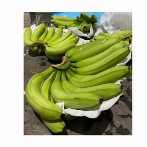 Tropical Banana <b>Fresh</b> Cavendish Banana Natural Fruits <b>Fresh</b> <b>Fruit</b> ORIGIN VIETNAM Cavendish Banana - Product Image 3