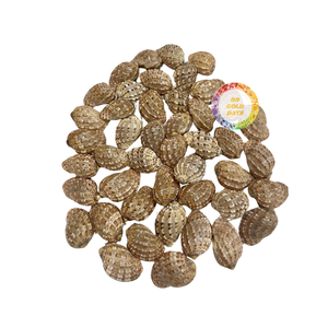 Torre de flores pulidas concha de mar para bodas y fiestas de lujo decoración-Venta caliente Torre verde pulida a conchas marinas blancas - Product Image 5