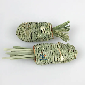 Nuevo bocadillo conejo conejillo de indias Chinchilla Timothy heno Pellets juguetes para mascotas hierba zanahoria para conejos - Product Image 2