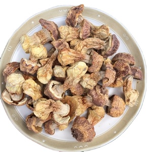 Agaricus Blazei Murill เห็ด Akina,อินทรีย์บริสุทธิ์จากธรรมชาติ - Product Image 1