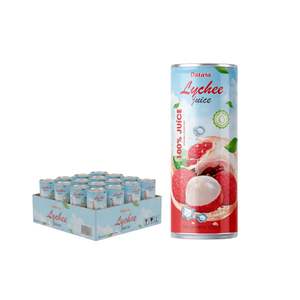 Wholesale Vietnam Tropical Fruit Flavored Juice 100% Juice Strawberry Can <b>Bottle</b> 250ml 330ml OEM/ODM Private Label Accepted - Product Image 4