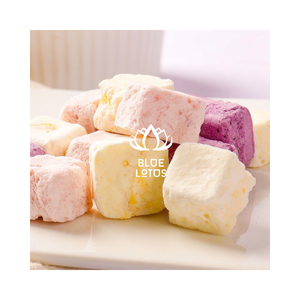 Yaourt lyophilisé Saveur naturelle Légère Sucrée et croquante - Product Image 1