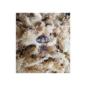 Vietnam High Quality Dried Forest White Moss to Warm <b>Tree</b> Plant - Product Image 5