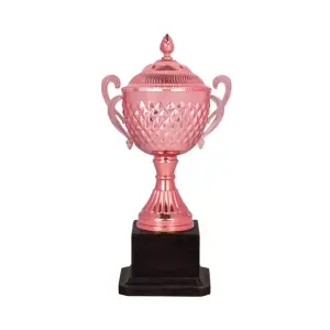 Cricket Cup Trophy/Thế Giới thể thao siêu kim loại giải thưởng Trophy Trophy cup/bán buôn tùy chỉnh Honor huy chương kim loại lưu niệm thể thao giải thưởng