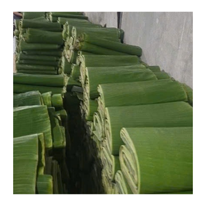 High Quality <b>Frozen</b> Banana Leaf Sheets Clean Processed <b>Frozen</b> Banana Leaf For Culinary <b>Decoration</b> - Product Image 6