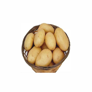 Patatas frescas orgánicas más vendidas, requisitos al por mayor personalizables, precio barato disponible - Product Image 1