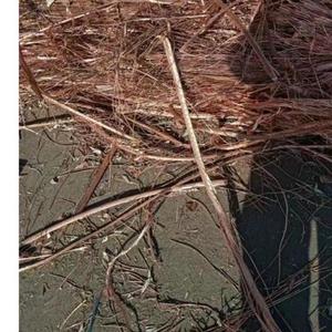 Alambre de Cobre Rojo de Alta Pureza 99.99% con Patrón Redondo y Alta Calidad para Servicios de Soldadura y Corte Eléctrico a Precio Económico - Product Image 5