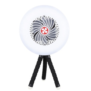Mini ventilatore solare con luce e treppiede 4W 250Lm (Niaros 300040005) - Product Image 1