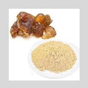 Polvo de extracto de planta Guggul de raíz salvaje de alta calidad en embalaje de tambor - Product Image 1