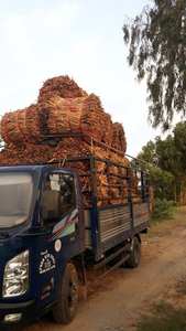 Meilleur Prix Hyacine D'eau Brute Du Vietnam/Jacinthe D'eau Séchée Pour La Fabrication De L'artisanat - Product Image 6