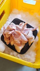 ปีกไก่แช่แข็ง คุณภาพพรีเมียม ขายดี เหมาะสำหรับธุรกิจจัดเลี้ยง - Product Image 2