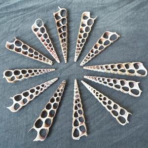 Piezas cortadas de concha de hoja en espiral para exhibiciones de bodas, decoración del hogar y suministro de manualidades a granel - Product Image 6