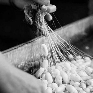 Fil de soie pure Best-seller fibre de luxe naturelle artisanat de luxe élongation emballage personnalisé fabriqué au Vietnam fabricant - Product Image 6