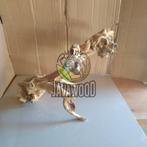 Meilleure vente Bain de soleil et lieu de détente pour les reptiles fabriqués à partir de bois durable solide et durable à un prix abordable - Product Image 1