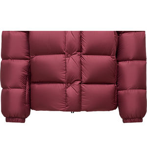 Chaqueta de Invierno Acolchada para Hombre, Personalizada, de Alta Calidad, con Cierre, Brillante, con Cuello Alto, Diseño Sólido, Impermeable, Cortavientos y Térmica - Product Image 2