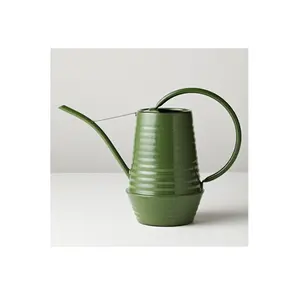 Arrosoir galvanisé pour plantes d'extérieur avec bec amovible arrosoir en métal parfait pour plantes d'intérieur et fleurs de jardin - Product Image 1