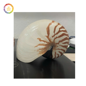Elegante para conchas Nautilus a la venta Artesanías naturales pulidas lisas Directo de fábrica a bajo costo Conchas decorativas - Product Image 4
