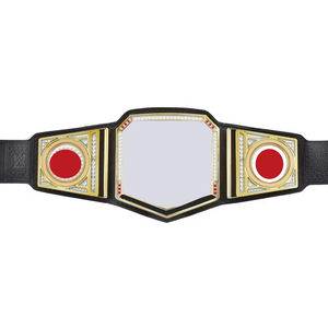 Ceinture de championnat de lutte de qualité supérieure, ceinture de lutte de poids lourd personnalisée - Product Image 1