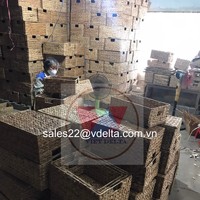 Akar Eichhornia Crassipes Kering untuk Pembuatan Kerajinan / Bahan Daun Teratai Air Kering Vietnam // MR. KEVIN