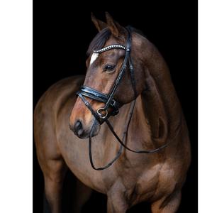 สแนฟเฟิล บริดเดิล - Product Image 2