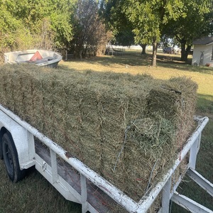 Foin de luzerne et de fléau de haute qualité pour l'alimentation animale - Product Image 4