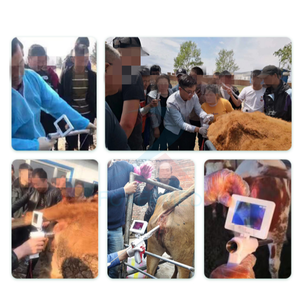 Pistola de Inseminación Artificial Visual para Vacas, Equipo Portátil de Inseminación para Ganado Lechero - Product Image 4