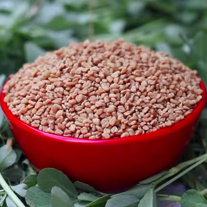 Graines de fenugrec de qualité supérieure d'origine indienne séchées au soleil sans résidus de pesticides biologiques pour recettes de santé Ayurveda Durée de conservation de 2 ans - Product Image 1