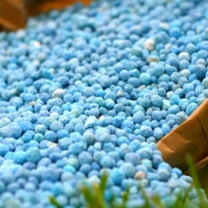 Proveedor Mayorista de Fertilizante de Nitrato de Prill Soluble para Plantas de Interior, Suculentas y Uso Hidropónico - Product Image 5