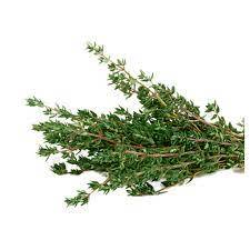 Thym en graines d'origine sud-africaine de haute qualité - Product Image 2