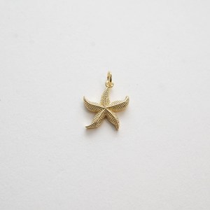 Silver 925 Gold Plated Starfish <b>Charms</b> <b>for</b> Earrings Pendants Necklaces <b>Bracelet</b> DIY Jewelry Accessories - Product Image 6