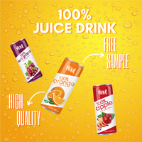 250Ml Vruchtensapdrank Kan Waterfles 100% Geen Suiker Vetarme Vrije Monsterfabricagedrank Van Vietnam Private Label Oem