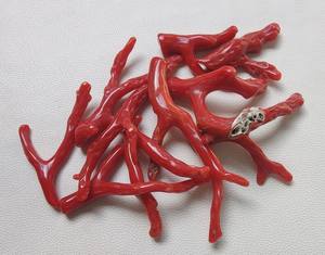 Palo de coral rojo italiano natural genuino, palo pulido de coral rojo italiano natural 100%. Palo de Coral Brillante Pulido, Palo de Coral - Product Image 2