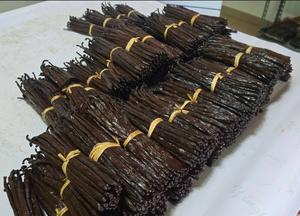 Vanille Planifolia de haute qualité 100% naturelle 14-21 cm Vanille Bourbon avec une durée de conservation de 3 ans - Product Image 5