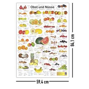Póster educativo alemán DIN A1 sobre frutas y frutos secos - Product Image 3