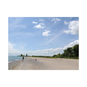 Bûche de hêtre pour la fabrication de meubles de qualité Bois polyvalent disponible en grande quantité Tarifs compétitifs - Product Image 3