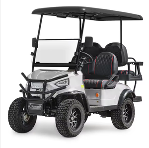 Carrito de Golf Premium RIVIERAa 2024 2025 de 4 Plazas con Carritos de Transporte, Carritos de Golf de Alta Calidad, Motor de 400W, 12km/h, Capacidad de 50kg - Product Image 1