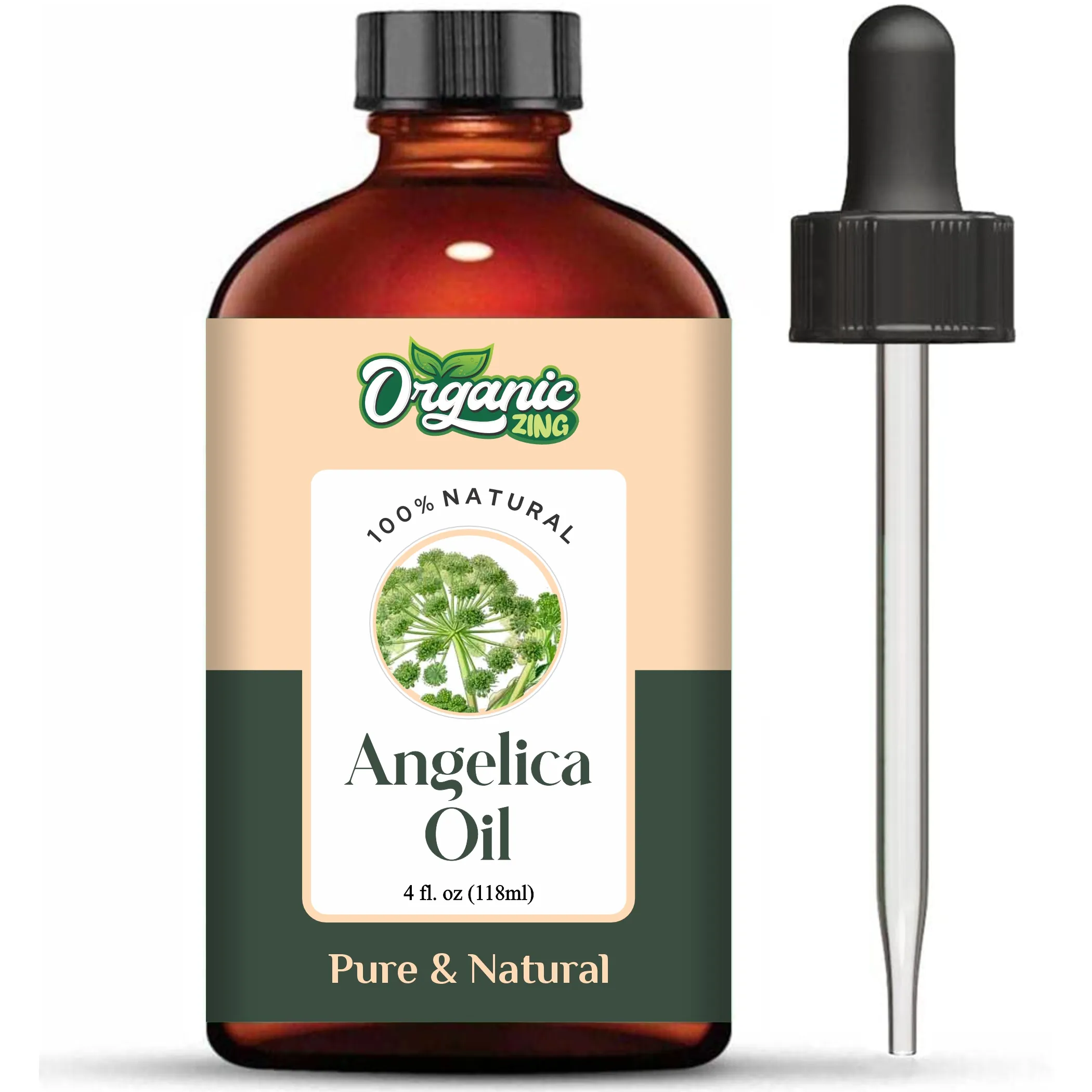 Bio-Zing-Angelica-Öl 100 % rein und natürlich niedrigster Preis kundenspezifische Verpackung verfügbar
