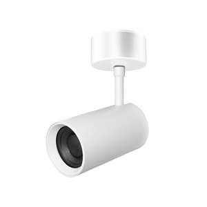 Altavoz colgante para uso en cafeterías y galerías con modo dual de 100V/8 Ω y diseño elegante para colgar - Product Image 5