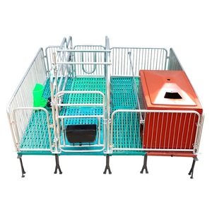 Jaula Henan para lechones, jaula para partos, rejilla para cerdos, granja de cerdos - Product Image 6