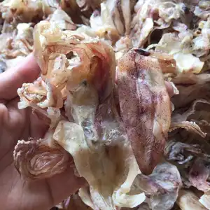 Commercio all'ingrosso testa di calamaro essiccato stagionale di alta qualità per la cottura da Vietnam teste essiccate buon gusto per l'esportazione