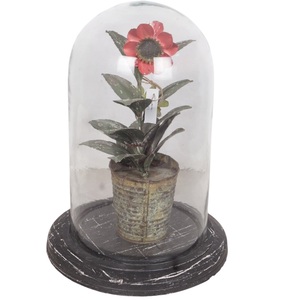 Campana de Cristal Vintage, Decoración Navideña Artificial para el Hogar, Planta de Escritorio, Artesanía Personalizada, Gran Venta, Mejor Precio de Fábrica - Product Image 5