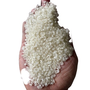 Japonica Sushi Corto Redondo Calrose Japonés Arroz Blanco Secado Textura Suave Premium Vietnam Fabricante WA + 84-915355383 - Product Image 1