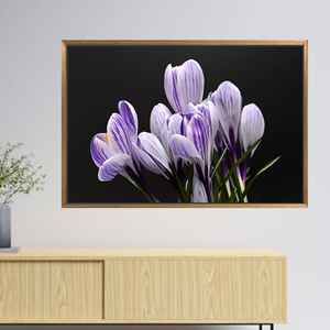 ภาพพิมพ์ลายดอกโครคัสบนผ้าแคนวาส: ภาพศิลปะติดผนังลายดอกไม้สีม่วงสุดหรู,1P:กรอบสีทอง - Product Image 1