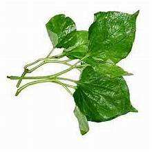 LOTLOT NATURAL CONGELADO A BASE DE PLANTAS SUPERALIMENTO ETIQUETA LIMPIA INMUNE BOOST HOJAS ENTERAS ALTA CALIDAD - Product Image 5