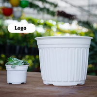 Dapat disesuaikan 20x15cm klasik berbentuk U pot taman PP putih kualitas diproduksi Vietnam botol plastik silinder untuk rumah