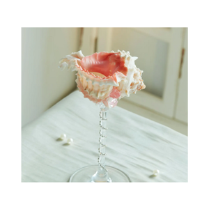 Seashell <b>Glasses</b> Crafted from Natural Seashell Elements Decorative Table Drinkware for Beach Bars Vietnam - Product Image 5