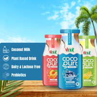 Meilleures boissons de jus de noix de coco et de myrtilles 280ml-Échantillon gratuit de boissons à faible quantité minimale de commande de marque privée OEM ODM