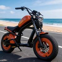Sepeda Motor Listrik Gaya Chopper |   Motor Listrik 500W dengan Starter Tanpa Kunci |   Sepeda Listrik Vintage Cruiser Ban Tebal <40km/jam