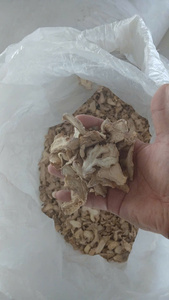 Gingembre séché en vrac bon prix du fournisseur du Vietnam Bao Tram Anh Company - Product Image 2